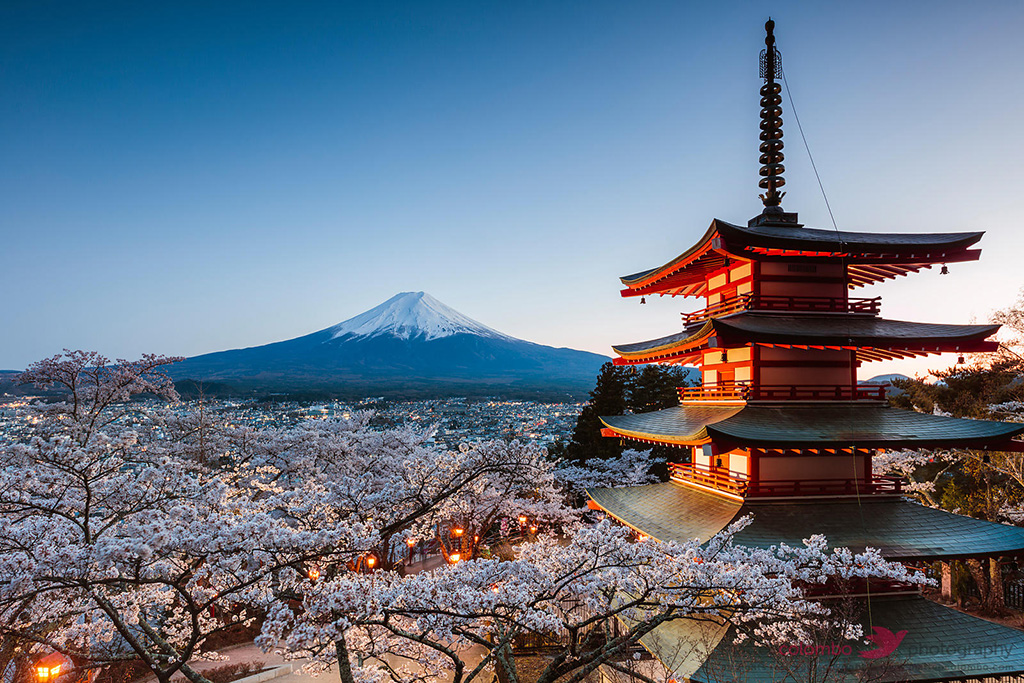 Iconic Chureito pagoda during cherry blossom season with mt. Fuji, Fuji Five lakes, Japan