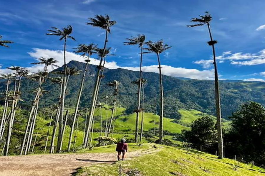 Colombia: with Coffee