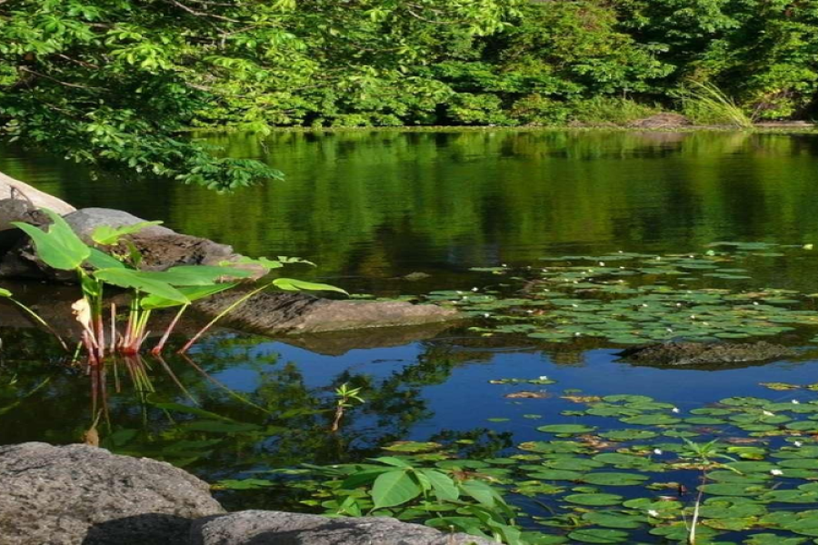 Costa Rica & Nicaragua