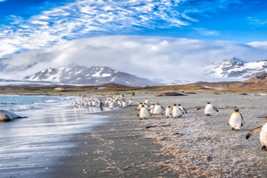Fjords of Tierra del Fuego Punta Arenas — Ushuaia